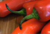 Windset Farms Five Pepper Jelly At Eat Vancouver
