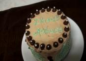 Eggless Cake Adventures