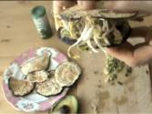 Raw Eggplant Bread Sandwich, Ep 164