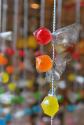 What Should Be The Color Of Candy This Halloween?