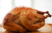 Top 4 Thanksgiving Turkey Cooking Tips