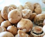 How To Store Mushrooms