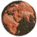 World Food Prices doubled due to American Ethanol subsidy