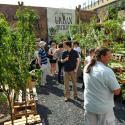 Have Your Pick At An Urban Orchard 