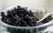 Sustainable Caviar Now A Reality