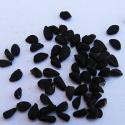 Black Cumin Seed Oil Health Benefits