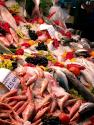 Food Trivia Quiz