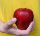 How to Store an Apple And Enjoy The Juiciness For Long