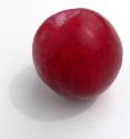 Plum For Weight Loss 