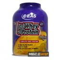 Whey Protein Reviews