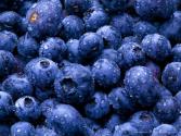 Effects of Antioxidants in Blueberry
