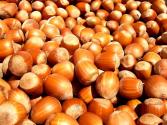 Top 10 Manganese Rich Foods For Children