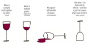 Top 10 Alcohol Quotes