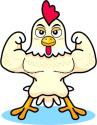 Top 10 Chicken Quotes