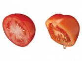 Leak Proof tomato?! (Saving the sandwich)