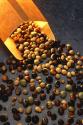 New Soy Cereal Fights Cancer And Obesity!