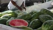 Farmer's Markets Around Kansas City