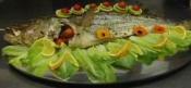Striped Bass