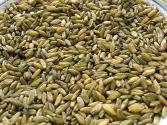 Freekeh/frek/farîk/