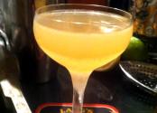 Fresh Fruitade