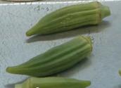 Tips To Cook Okra