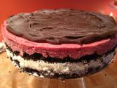 Sorbet Cake With Chocolate Glaze