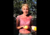 Fruit For A Fresher You