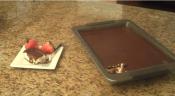 Ganache Covered Cheesecake Bars