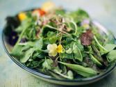 Easy Kale And Cabbage Salad