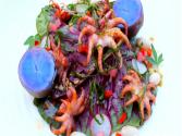 Grilled Baby Octopus With Spring Salad 