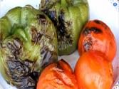 Grilled Bell Peppers And Tomatoes