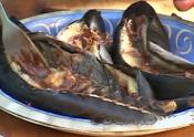 Grilled Chocolate Bananas Dessert 
