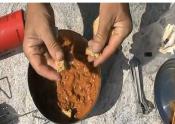 Healthy Dried Food