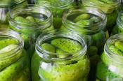 Home Made Dill Pickles