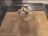 Homemade Mocha Frappuccino
