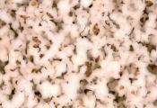 Easy Homemade Popcorn