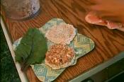 Homemade Sloppy Joe - Raw Food Version 