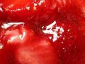 Homemade Strawberry Jam