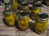 Homestead Series How To Can Bread And Butter Pickles