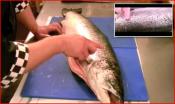 How To Know Fresh Fish? 