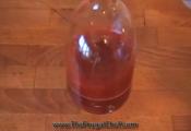 Strawberry Coulis