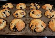 Sour Cream Blueberry Muffins