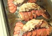 Mini Broiled Lobster Tails