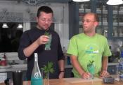 Blue Crush Cocktail