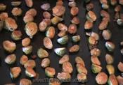 Roasted Brussels Sprouts