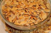 Roasted Pumpkin Seeds