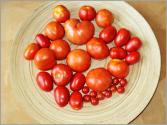 How To Use Different Kinds Of Tomatoes - Cooking Tutorial 