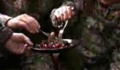 Duck Breast With Berry Sauce
