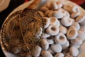 Tips To Make Tapioca Balls For A Perfect Dinner Party