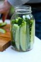 How To Make Crisp Dill Pickles?